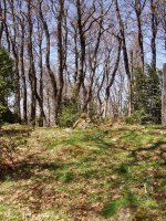 Borrokoxkoko gailurra