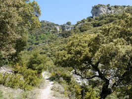 Ubaguako arroilako bideko pasarte bat