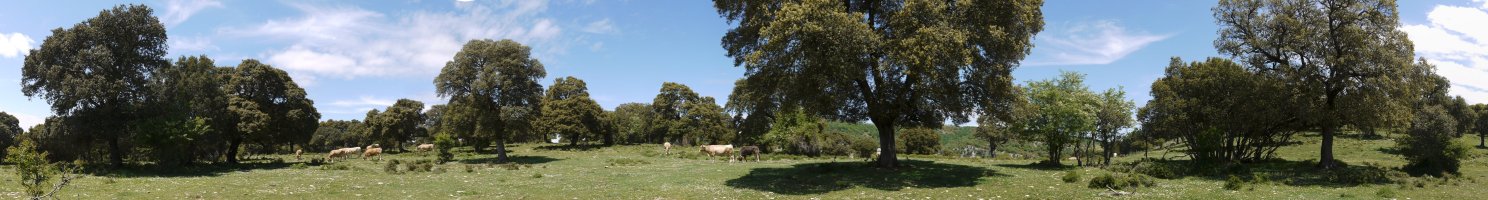Tontorraren mendebaldeko lepoaren inguruak