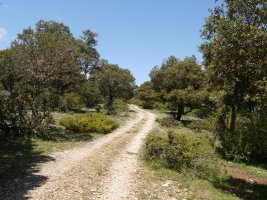 Arizaleta aldetik igotzen den pista