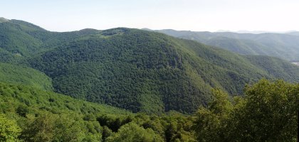 Erregerena Burdindogitik