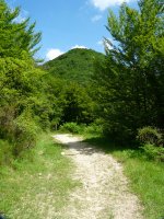 Txutxurru Berkineta lepoko bidetik