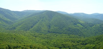 Kedarbe oihantsua Loiketako gailurretik