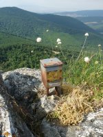 Berrondoko txartelontzia