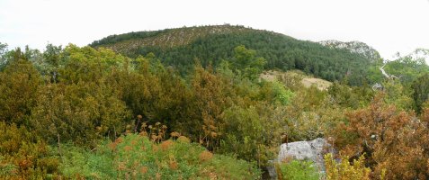 Aritzgaña Errasa Haitzetik