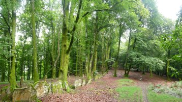 Bertizko muga Ezkiringo hegietan gora