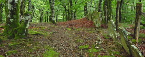 Ezkirin (Añolatz), gailurra