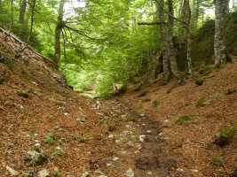 GR11 pagadian barrena