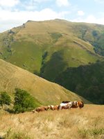 Munhoa Ahartzako lepotik