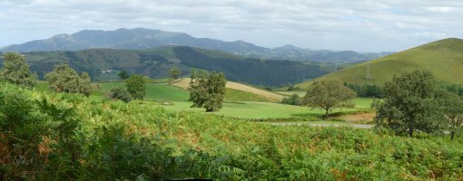 Paisaia ederrak Arradoiko bidetik