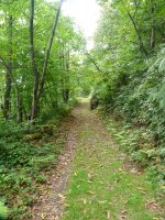 Arradoiko iparraldean gora doan bidea