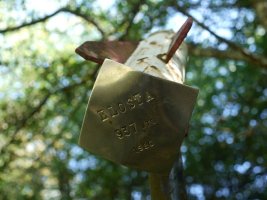 Txartelontziaren ipurdia