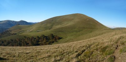 Arthanolatze eta Lepo Txipia