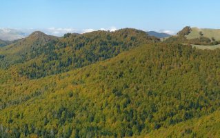 Malgorra Orhi azpiko errepidetik