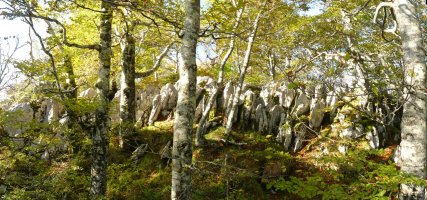 Harritxuriko gainaren inguruak