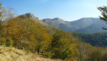 Zabozeko dorrea basoko argiune batetik