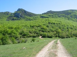 Pipaon aldetik igotzen den bidea