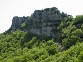 Mendebaldeko lepotik