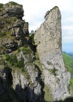 Tontorraren aldameneko orratza