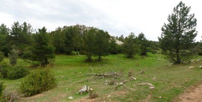 Ibarrako lepo ederra