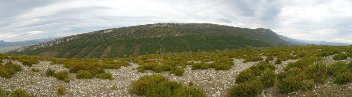 Leireko mendilerroa Ibarratik