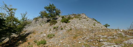 Artzeletako gailur harritsua