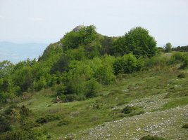 Tontorra eta inguruak