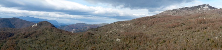 Puttarri eta Serlo Gaina Algorritik