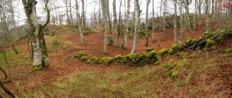 Muga egiten duen murrua, Serlo Gainaren hegietan gora