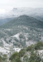 Alotz herrixkaren hondakinak