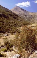 Pico Murcia, igoerako bidetik