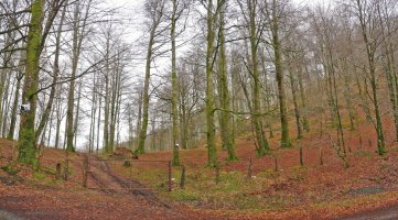 Langa Irumugarrietako lepoan