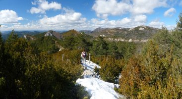 Ataka Olotokiko mendebaldeko gandorrean