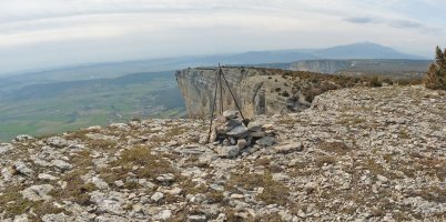 Sartzaletako buzoidun gaina