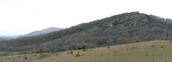 Garindoko bizkar luzea