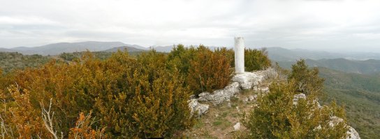 Zarikietako gailurra