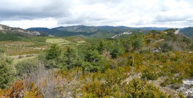 Alduko goi ordokia eta Arazekiko gandorra