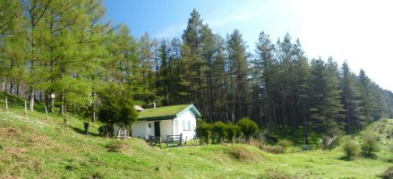 Forestalen etxea, Añabasoko bidean