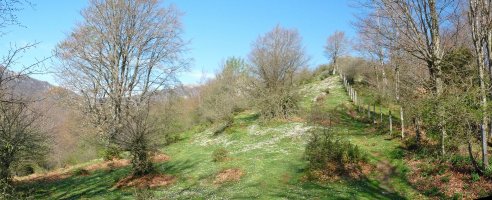 Añabasoko azken malda