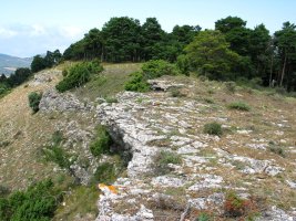 Tontorraren inguruak