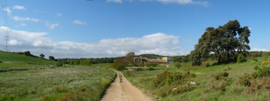 Caserio del Monte, Tafalla eta Artaxoa arteko errepidean