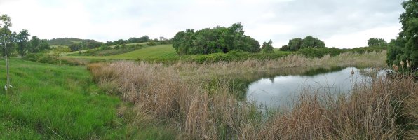 Ur putzua Buskilgo bidean