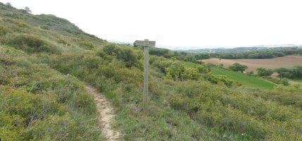 Ibilbide baten adierazgarria