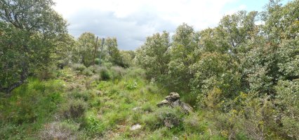 Sarrea-Oihanburu gaineko gailurra 