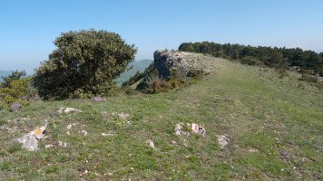 Tontorra Hegoaldeko bizkarretik