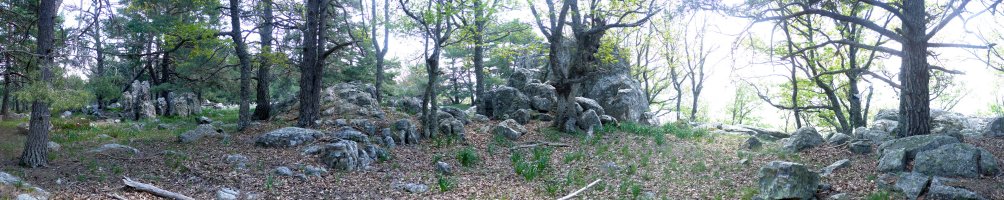 Gainaldeko pasarte bat