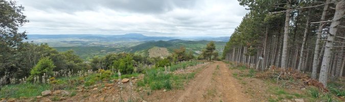 Napariko bidea, mendebaldeko bizkarretik igotzen dena