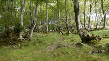 Bizkarreko bidea Baztanibar aldean