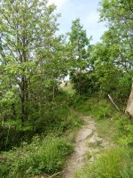 Tontorraren inguruko bidezidorra