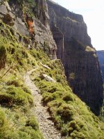 Fajeta erlaitzera bidean